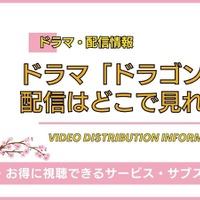 「ドラゴン桜」配信はどこで見れる？ 全シリーズを見放題で見る方法 画像