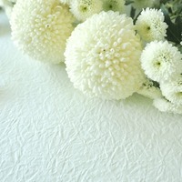 声優・池田勝さん 心不全で死去 83歳 「ヤッターマン」「サクラ大戦」などに出演 画像