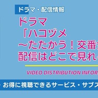 ドラマ「ハコヅメ」の配信はどこで見れる？ サブスクの視聴方法を解説 画像