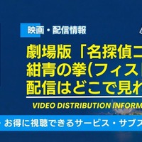 劇場版「名探偵コナン 紺青の拳(フィスト)」の配信はどこで見れる？声優・見どころも紹介 画像