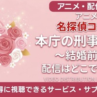 『名探偵コナン』本庁の刑事恋物語の配信情報｜無料で見れるサブスクは？ 画像