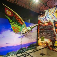 「モスラ特別展」平成モスラの好きな敵怪獣といえば？第2弾人気投票が4月13日スタート【ニジゲンノモリ】 画像