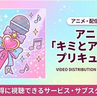 「キミとアイドルプリキュア♪」の配信サービス一覧｜無料で見る方法 画像
