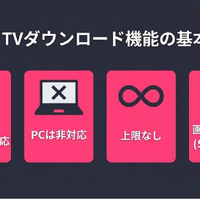 DMM TVのダウンロード方法｜PC対応・画質設定・できない時の対処法 画像