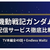「新機動戦記ガンダムW」の配信はどこで見れる？サブスクを徹底比較 画像