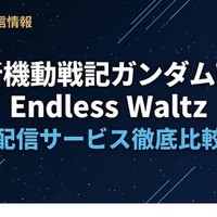 「ガンダムW エンドレスワルツ」の配信はどこで見れる？サブスク視聴方法まとめ 画像