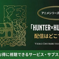「ハンターハンター」OVAはどこで見れる？配信状況と視聴方法まとめ 画像