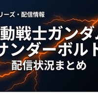 「機動戦士ガンダム サンダーボルト」の配信はどこで見れる？お得に視聴できるサブスクまとめ 画像