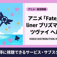 アニメ「Fate/kaleid liner プリズマ☆イリヤ ツヴァイ ヘルツ！」を見放題で視聴できるサブスクは？ 画像