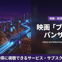「ブラックパンサー」配信はどこ？DMM TVでお得にレンタル視聴！ディズニープラスでは見放題配信 画像