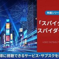 映画「スパイダーマン：スパイダーバース」の配信は？視聴方法と声優情報 画像