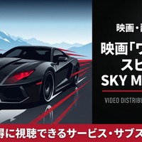 映画「ワイルド・スピード SKY MISSION」配信はどこで見れる？おすすめサブスクまとめ 画像