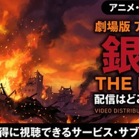 劇場版「銀魂 THE FINAL」の配信はどこで見れる？お得に視聴できるサブスク・アプリ比較 画像