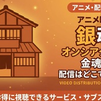 アニメ「銀魂オンシアター2D 金魂篇」の配信はどこで見れる？見放題サービス比較 画像