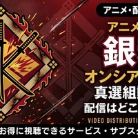 アニメ「銀魂オンシアター2D 真選組動乱篇」の配信はどこで見れる？お得に見れる動画配信サイトを紹介 画像