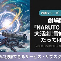 「劇場版 NARUTO 大活劇!雪姫忍法帖だってばよ!!」の配信はどこで見れる？ 画像
