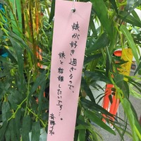 「傷物語」秋葉原で七夕イベント　神谷浩史、坂本真綾、花澤香菜らが願ったこととは？