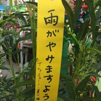 「傷物語」秋葉原で七夕イベント　神谷浩史、坂本真綾、花澤香菜らが願ったこととは？