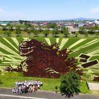 「シン・ゴジラ」青森に現わる 田んぼアートの巨大ゴジラがついにお披露目 画像