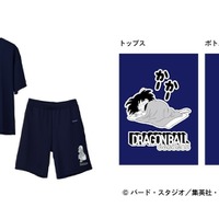 「ドラゴンボール」悟空、クリリン、ブルアらと“亀仙流”の修業だ☆リカバリーウェア登場で“よく動き　よく学び　よく遊び　よく食べて　よく休む”！ 画像