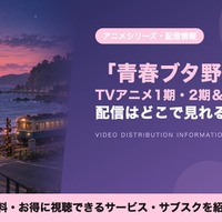 「青ブタ（青春ブタ野郎）」の配信はどこで見れる？アニメ1期・2期と劇場版を見放題で見られるサブスクを比較 画像