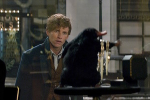 「ファンタビ」興収40億突破、2016年公開の実写映画で最速 画像