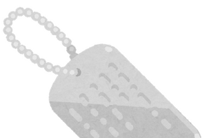 憧れるアニメキャラの苗字といえば？ アンケート〆切は9月16日まで【苗字の日】 画像