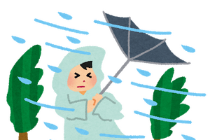 トラブルメーカーなキャラといえば？ アンケート〆切は9月23日まで【台風襲来の日】 画像