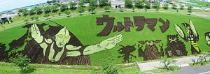 「田んぼアートニッポンプロジェクト」ウルトラマンが田んぼアートになって登場 画像