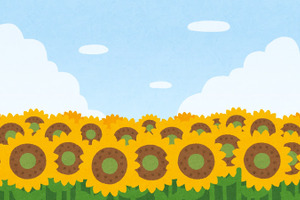 黄色がイメージカラーのアニメキャラといえば？ アンケート〆切は7月8日【ひまわりの日】 画像