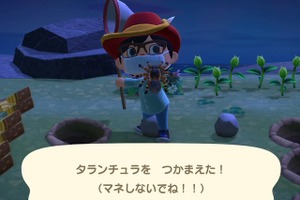 「あつ森」マイル旅行券を使えば「夢のような島」へ!? マイルをつぎこんでレア島に挑戦してみた 画像