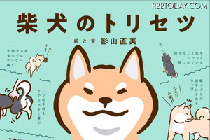 柴犬のカラダとココロをオール図解！「柴犬のトリセツ」発売決定 画像