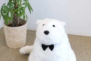 「SPY×FAMILY」抱きしめるのにぴったり♪ボンドのぬいぐるみが登場！ 画像