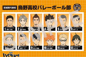 「劇場版ハイキュー!!」5月3日より配布スタート！ 入プレ第6弾は“選手名鑑風ブロマイド” 画像