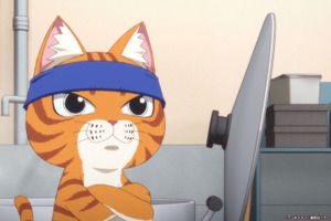 夏アニメ「ラーメン赤猫」店長の文蔵（CV.津田健次郎）は猫!? 異色のお仕事ストーリーがいよいよ開店♪ 第1話先行カット 画像