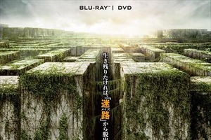 「メイズ・ランナー」Blu-rayとDVD10月2日発売　スポットナレーションに梶裕貴 画像