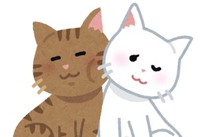 理想の“カップル”キャラといえば？ アンケート〆切は11月16日 画像