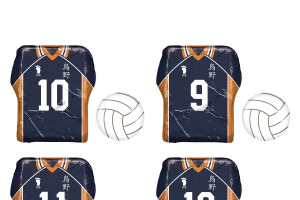 「ハイキュー!!」鳥野高校ウェア＆バレーボールのアルミ巻きチョコが登場！ヒナガラス型ケースも 画像