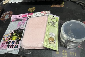 不器用な私を“推し活の天才”に変える「Seria」の100均神グッズ4選。銀テープもぬい活も劇的レベルアップ！【暮らしの推し活手帳】 画像