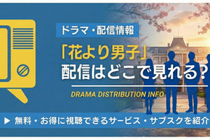 ドラマ「花より男子」の配信はどこで見れる？Netflix・Amazonプライムの状況と全話無料視聴方法【2026最新】 画像