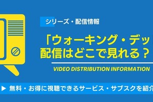 海外ドラマ「ウォーキング・デッド」の配信はどこで見れる？Amazonプライム・ビデオやNetflixなど各サービスを徹底調査！ 画像