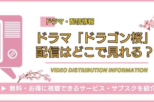 「ドラゴン桜」配信はどこで見れる？ 全シリーズを見放題で見る方法 画像