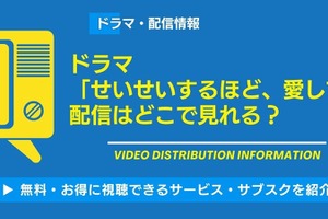 「せいせいするほど、愛してる」の配信は？ 視聴方法・キャストも紹介 画像