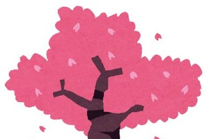 “さくら”キャラといえば？ アンケート〆切は3月20日 画像