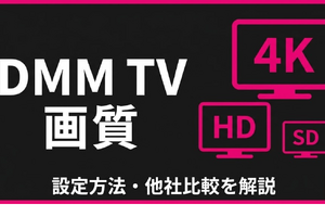 DMM TVの画質は悪い？設定方法・4K対応・他社比較を解説 画像