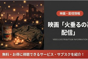 「火垂るの墓」Netflix配信終了後に見る方法は？サブスク状況まとめ 画像