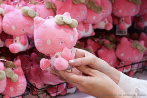 「サンリオ展」最後にして最大…！“FINAL”がついに開幕!! ファン必見の先行販売＆オリジナルグッズや「サンリオキャラクター大賞」とのコラボコーナーも 画像