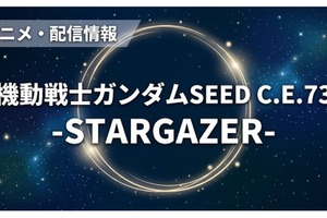 「機動戦士ガンダムSEED C.E.73 STARGAZER」の配信はどこで見れる？サブスクまとめ 画像