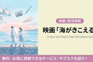 「海がきこえる」配信なし？ジブリ