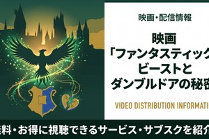 「ファンタスティック・ビーストとダンブルドアの秘密」配信状況まとめ｜見放題で視聴する方法 画像